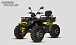 Квадроцикл PROMAX TAURUS 300 MAX-PRO LONG в Саратове